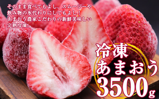 福岡県産 冷凍 いちご あまおう 3.5kg TY006-1 884063 - 福岡県須恵町