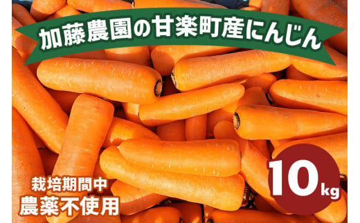 産地直送！加藤農園の甘楽町産にんじん 10kg｜人参 ニンジン 野菜 キャロット 国産 新鮮 農家直送 産地直送 煮物 かき揚げ 甘楽町 数量限定 期間限定 [0249] 614023 - 群馬県甘楽町