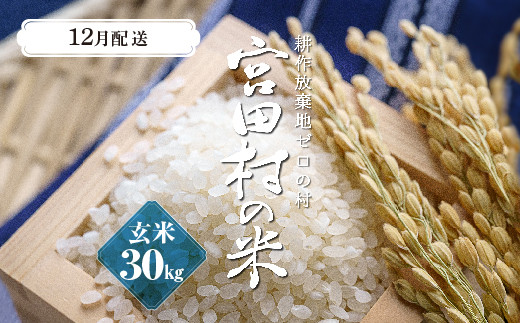 予約受付】【令和５年米】【新米】長野県産 減農薬栽培コシヒカリ