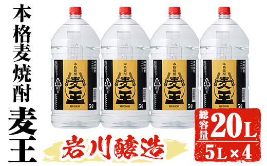 岩川醸造 本格麦焼酎 麦王〈麦〉 (5L×4本・計20L) お酒 焼酎 麦焼酎 【大隅家】C34|有限会社酒蔵大隅家