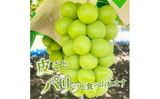 山梨県上野原市のふるさと納税 ◆2025年先行予約◆山梨県産シャインマスカット 1kg（2～３房）【化学肥料、除草剤不使用】