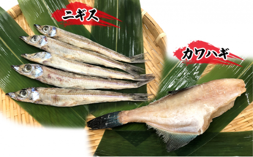 №5313-0337]トロ炙ります寿司と干物5種（かます・カワハギ・コマイ