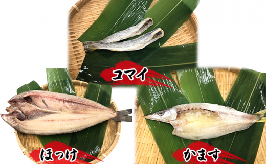 №5313-0337]トロ炙ります寿司と干物5種（かます・カワハギ・コマイ