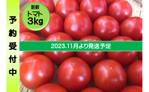 B-75◆安田町産の新鮮トマト3Kg