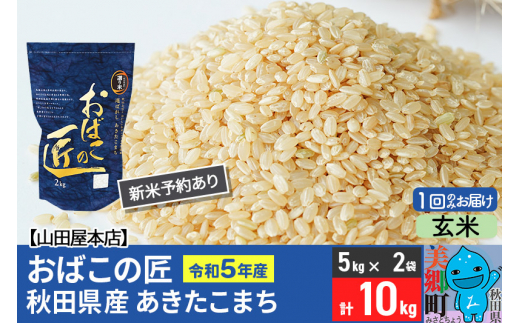 【玄米】令和5年産 新米予約 おばこの匠 10kg（5kg×2袋）秋田県産あきたこまち 秋田こまち お米 887472 - 秋田県美郷町