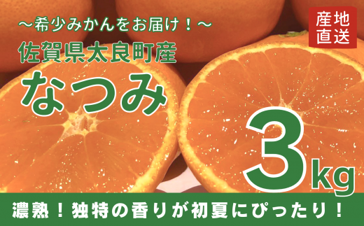 [佐賀県太良産]山本農園『なつみ 3kg』(4月下旬〜出荷予定)