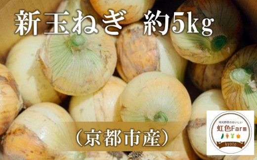 【虹色Farm】【先行予約/2024年5月発送】新玉ねぎ 約5kg 746349 - 京都府京都市
