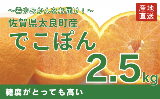 [佐賀県太良産]山本農園『でこぽん 2.5kg』(3月中旬〜5月上旬出荷予定)