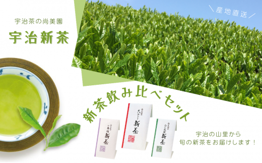【2023年度　宇治茶】京の新茶飲み比べセット（煎茶100g×３種）S1709