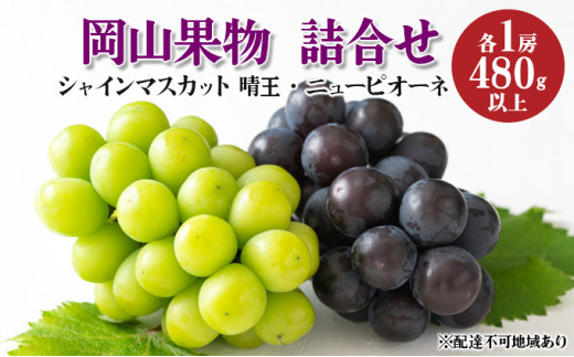 ぶどう 2024年 先行予約 岡山果物 詰合せ ニュー ピオーネ 1房 480g以上／ シャイン マスカット 1房 晴王 480g以上 化粧箱入り  ブドウ 葡萄 岡山県産 国産 フルーツ 果物 ギフト[№5220-1237]
