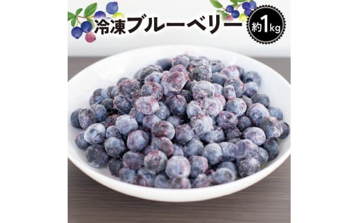 ブルーベリー 冷凍 フルーツ 約1kg クール便 甘い 大粒 果肉 果実 美容 健康 徳島 阿波市 四国