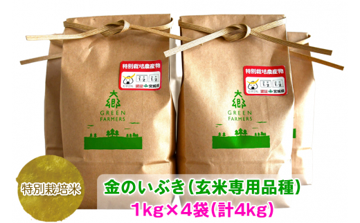 令和4年産 特別栽培米 金のいぶき (玄米専用品種) 1kg×4袋 (計4kg ...