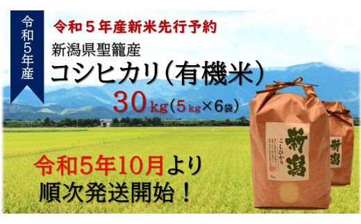 令和5年 新潟県産コシヒカリ 新米 30kg - 米