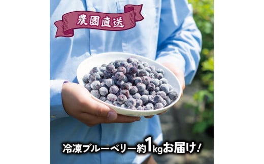 ブルーベリー 冷凍 フルーツ 約1kg クール便 甘い 大粒 果肉 果実 美容 健康 徳島 阿波市 四国