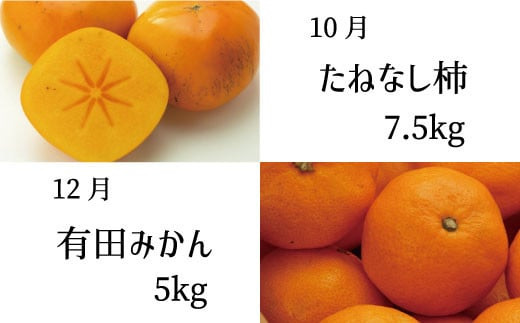 【全6回定期便】偶数月にお届け♪和歌山のフルーツ堪能定期便！不知火・木成り八朔・すいか・巨峰・たねなし柿・有田みかん