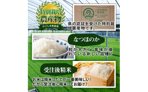 【013101a】鹿児島県東串良町の無洗米「なつほのか」(計10kg・5kg×2袋)【大幸農産】