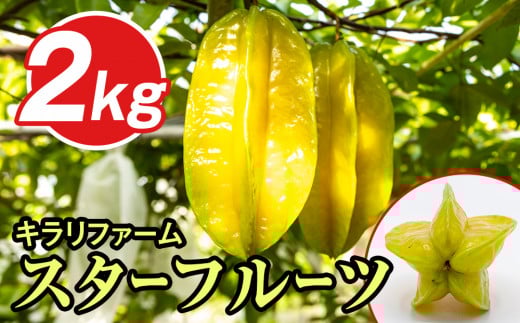 [2025年11月から順次発送]キラリファーム スターフルーツ 2kg