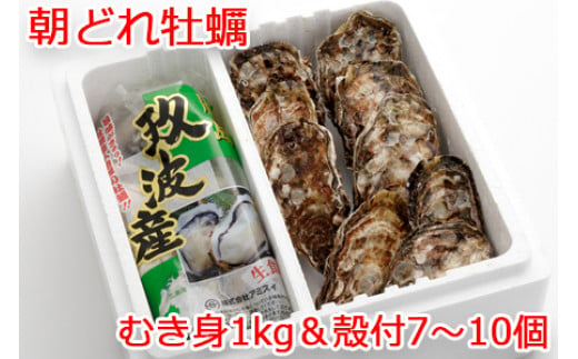 むき身＆殻付 牡蠣 Bセット｜朝どれ 生牡蠣 生かき 生がき 生カキ