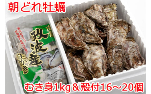 むき身＆殻付 牡蠣 Bセット｜朝どれ 生牡蠣 生かき 生がき 生カキ 生ガキ 広島県産 宮島 瀬戸 [1746]