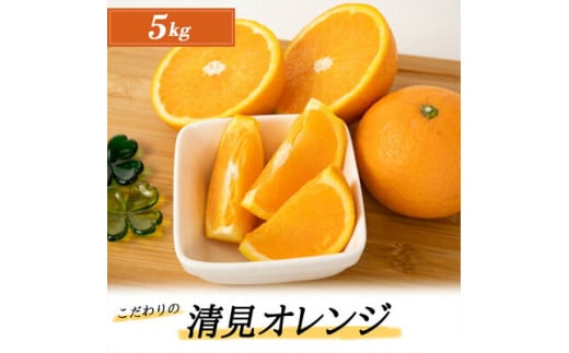ZT6207n_こだわりの 清見 オレンジ 5kg 藤秀園