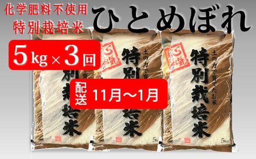 定期便3回[11月12月1月]エコファーマーのひとめぼれ5kg×3回