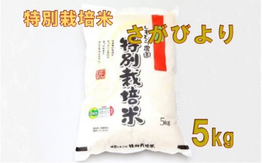 [農薬・化学肥料:栽培期間中不使用米]さがびより 5kg