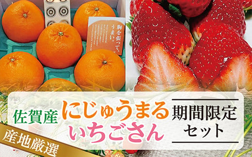 d-75 【 ３月 上旬 から発送 】 佐賀 産 柑橘 『 にじゅうまる 』 『 いちごさん 』 期間限定 セット みかん 苺 イチゴ ブランド柑橘  | 佐賀県 産 にじゅうまる・いちごさん 期間限定セット