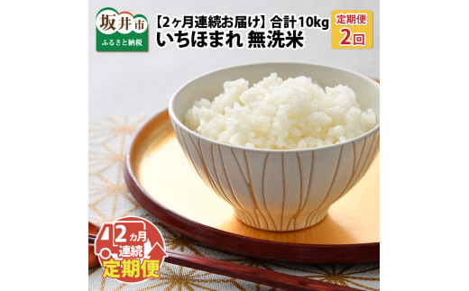 [B-6125] 【先行予約】【令和5年産新米】定期便 ≪2ヶ月連続お届け≫ 福井県のブランド米 いちほまれ 無洗米 5kg × 2回 計10kg 【2023年10月上旬以降順次発送予定】【 無洗米 人気 品種 ブランド米 特A 】 910242 - 福井県坂井市