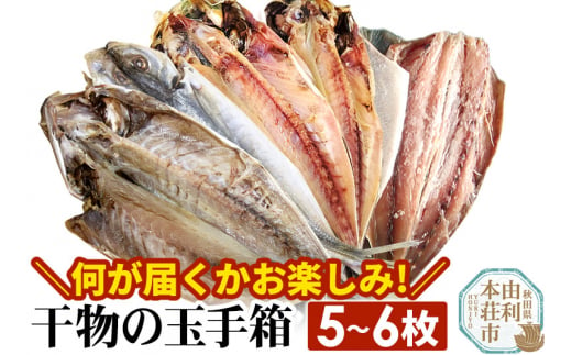真鱈 【メス】 3kg 天然 漁師直送 (配送期間 10月～1月末予定、期間外