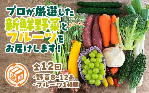 A035 朝採り野菜とフルーツの定期便（12回） 779827 - 山口県山口市