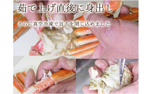 ずわいがに身出し甲羅盛り【200g かに カニ 蟹 ズワイガニ 福井 甲羅盛 手軽 冷凍配送】[B-013023]