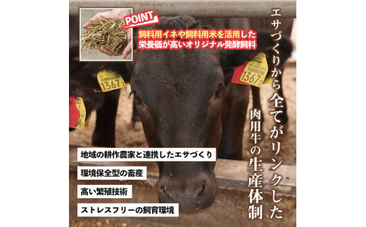 No.1001-02 黒毛和牛上ホルモン(計1.2kg)【カミチク】 / 鹿児島県日置