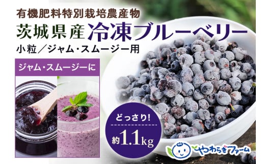 茨城県産冷凍ブルーベリー（小粒） 1.1kg 国産 小分け 特別栽培農産物