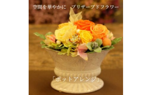空間を華やかに　プリザーブドフラワー「ポットアレンジ」 [№5312-0575]