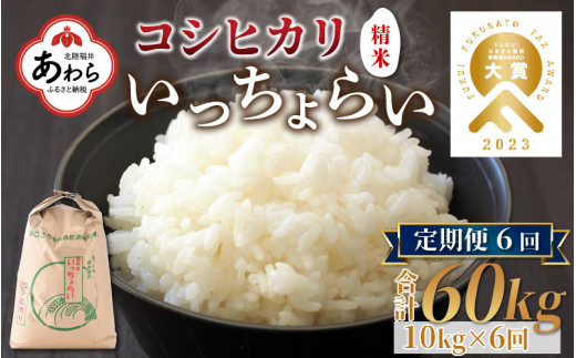 【令和4年産】《定期便6回》いっちょらい 精米 10kg(計60kg) / 福井県産 ブランド米 コシヒカリ ご飯 白米 新鮮 大賞 受賞 410626 - 福井県あわら市