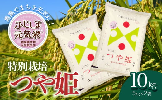 [令和6年産 新米]特別栽培つや姫 ふじしま元気米 10kg(5kg×2)新鮮館Aコープ藤島店