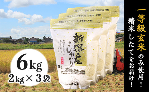 31-01新潟県産コシヒカリ6kg（2kg×3袋）