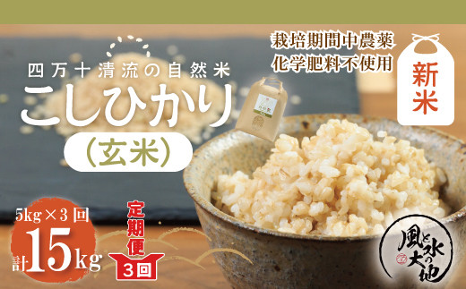 新米！玄米15kg ！30年度高知県産コシヒカリ精米