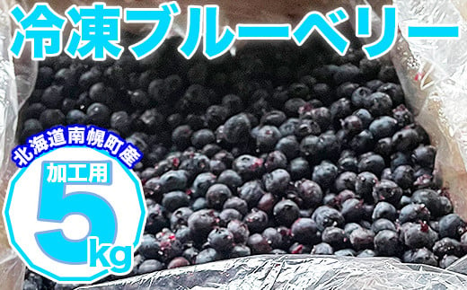 北海道南幌町産 冷凍ブルーベリー 加工用 5kg 7月下旬より発送 JAなん