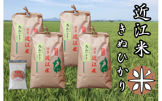 米 近江米 新米 白米 きぬひかり 20kg ( 5kg × 4袋 ) 令和4年産 米粉 200g付 農家直送 滋賀県産 滋賀県 竜王  送料無料|竜王とらわか