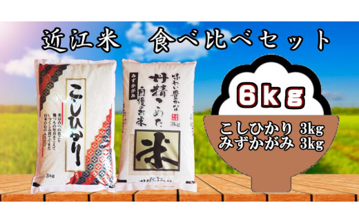 米 精米 近江米 6kg ( 3kg × 2袋 ) こしひかり みずかがみ 食べ比べ 令