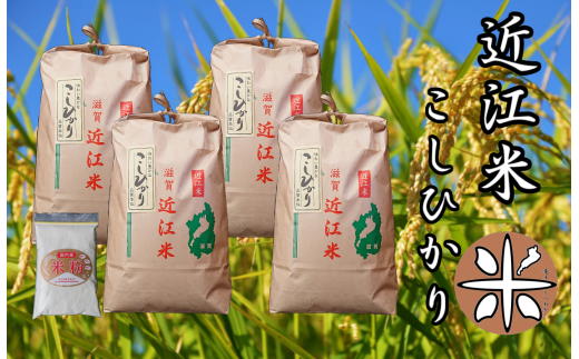 米 近江米 こしひかり 白米 20kg ( 5kg × 4袋 ) 新米 令和4年産 米粉