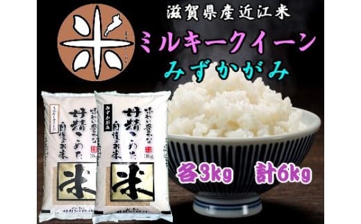 近江米 キヌヒカリ 玄米 白米 米 20kg送料込 ご飯 飯 御飯米/穀物