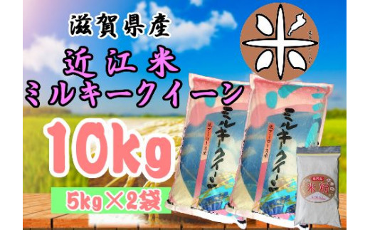 米 近江米 ミルキークイーン 白米 10kg ( 5kg × 2袋 ) 新米 令和4年産