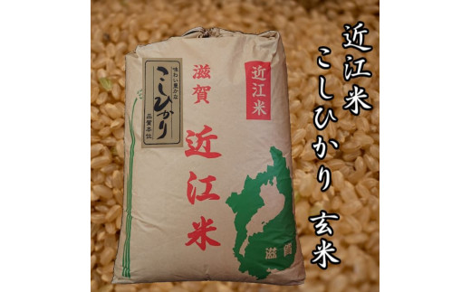 令和2年産 コシヒカリ 玄米30kg 近江米 新米-