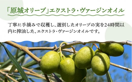 2024年11月〜発送】原城オリーブ エクストラヴァージン オイル 100ml 1本 / 調味料 油 オリーブオイル オリーブ / 南島原市 /  ミナサポ [SCW025] - 長崎県南島原市｜ふるさとチョイス - ふるさと納税サイト