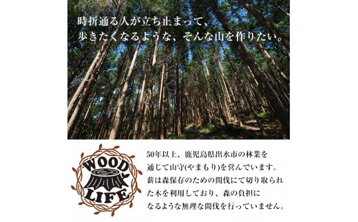 i797 スウェーデントーチ(大・1本）【WOODLIFE】