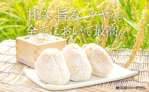 島根県益田市美都町の「つや姫」は甘み・うまみ・艶などに優れており、口当たりや粘り気などの米の味としてバランスが良い点が特徴です。