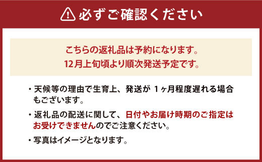 2023年12月上旬より順次発送】贈答用 あまおう 約400g いちご イチゴ