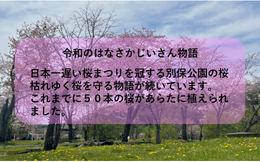 桜の木 1本 の オーナー権 及び オーナー証 | 北海道 釧路町 別保公園